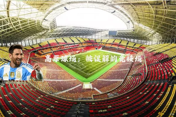 高原球场：被误解的竞技场